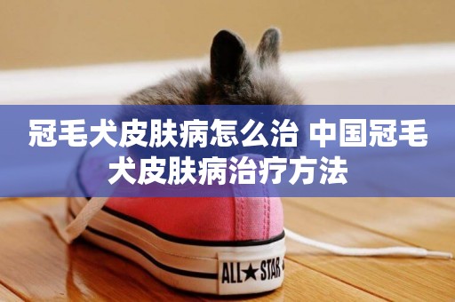 冠毛犬皮膚病怎么治 中國冠毛犬皮膚病治療方法