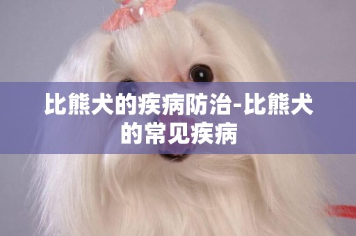 比熊犬的疾病防治-比熊犬的常見疾病