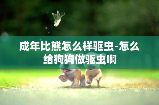 成年比熊怎么樣驅蟲-怎么給狗狗做驅蟲啊