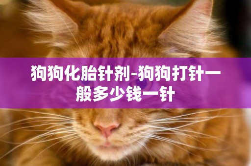 狗狗化胎針劑-狗狗打針一般多少錢一針
