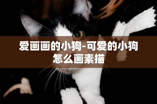 愛畫畫的小狗-可愛的小狗怎么畫素描