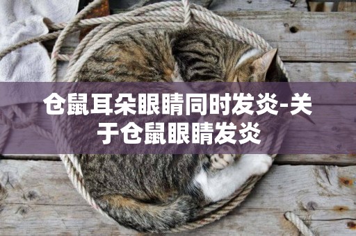 倉鼠耳朵眼睛同時發炎-關于倉鼠眼睛發炎