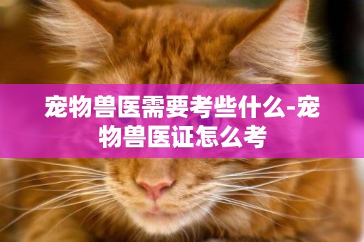 寵物獸醫需要考些什么-寵物獸醫證怎么考