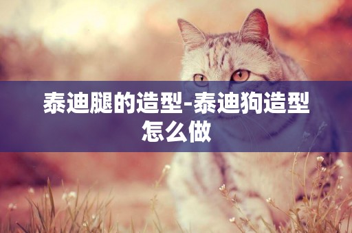 泰迪腿的造型-泰迪狗造型怎么做