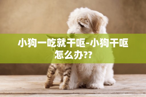 小狗一吃就干嘔-小狗干嘔怎么辦??