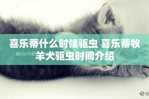 喜樂蒂什么時候驅蟲 喜樂蒂牧羊犬驅蟲時間介紹