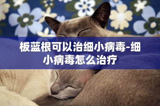 板藍根可以治細小病毒-細小病毒怎么治療