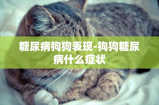 糖尿病狗狗表現-狗狗糖尿病什么癥狀