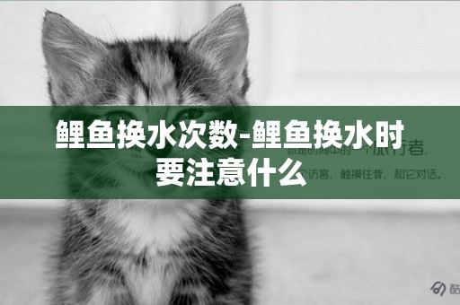 鯉魚換水次數-鯉魚換水時要注意什么