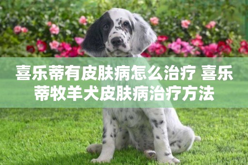 喜樂蒂有皮膚病怎么治療 喜樂蒂牧羊犬皮膚病治療方法