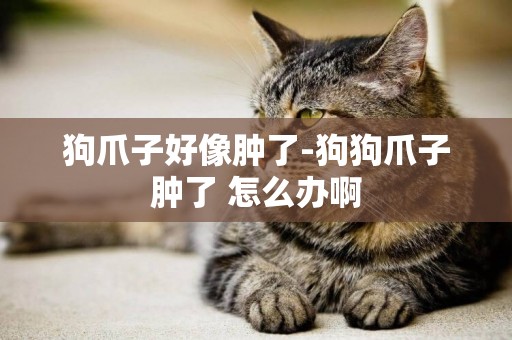 狗爪子好像腫了-狗狗爪子腫了 怎么辦啊