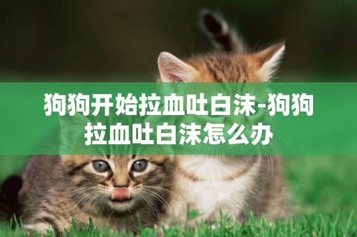 狗狗開始拉血吐白沫-狗狗拉血吐白沫怎么辦