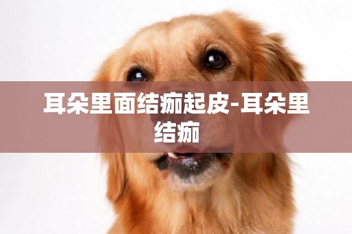 耳朵里面結痂起皮-耳朵里結痂