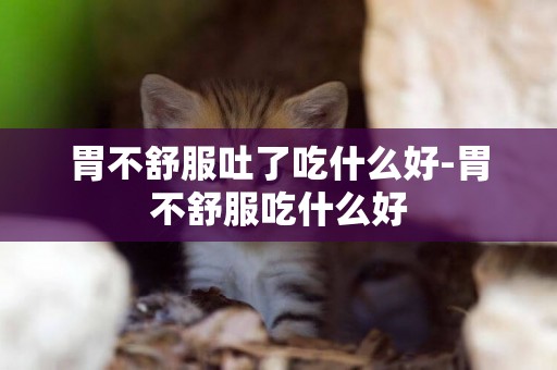 胃不舒服吐了吃什么好-胃不舒服吃什么好