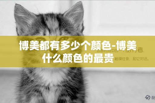 博美都有多少個顏色-博美什么顏色的最貴
