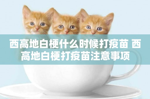 西高地白梗什么時候打疫苗 西高地白梗打疫苗注意事項