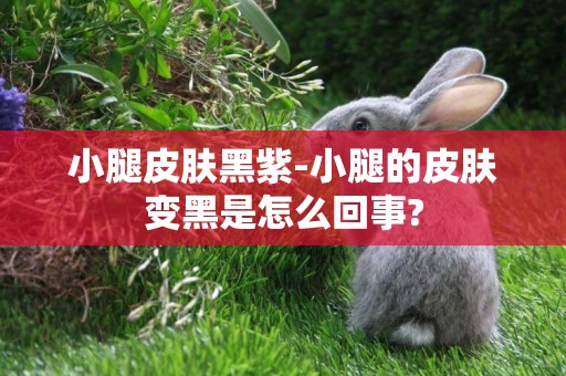 小腿皮膚黑紫-小腿的皮膚變黑是怎么回事?