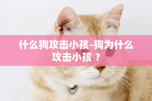 什么狗攻擊小孩-狗為什么攻擊小孩 ？