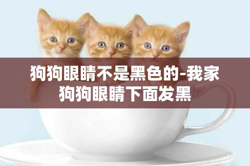 狗狗眼睛不是黑色的-我家狗狗眼睛下面發黑
