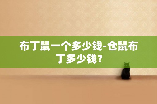布丁鼠一個多少錢-倉鼠布丁多少錢？