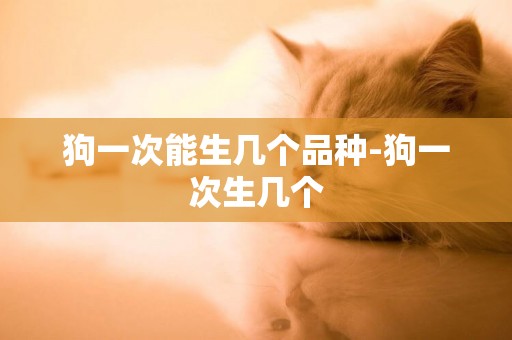 狗一次能生幾個品種-狗一次生幾個