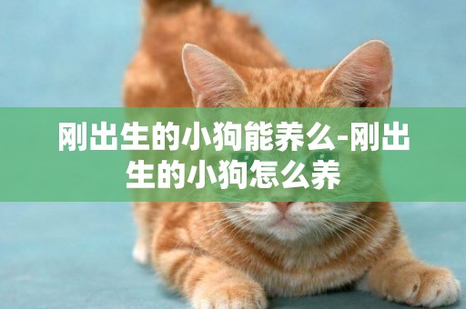 剛出生的小狗能養么-剛出生的小狗怎么養