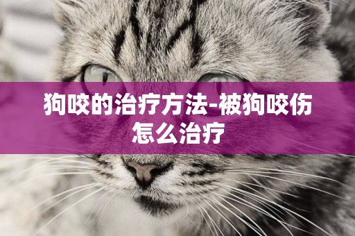 狗咬的治療方法-被狗咬傷怎么治療