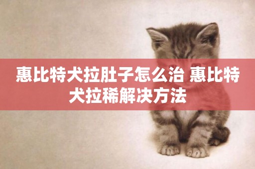 惠比特犬拉肚子怎么治 惠比特犬拉稀解決方法