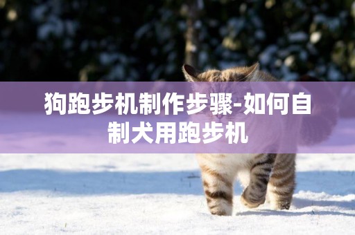 狗跑步機制作步驟-如何自制犬用跑步機