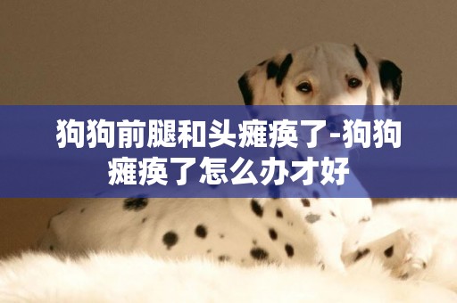 狗狗前腿和頭癱瘓了-狗狗癱瘓了怎么辦才好