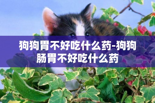 狗狗胃不好吃什么藥-狗狗腸胃不好吃什么藥