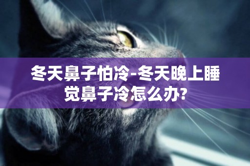 冬天鼻子怕冷-冬天晚上睡覺鼻子冷怎么辦?
