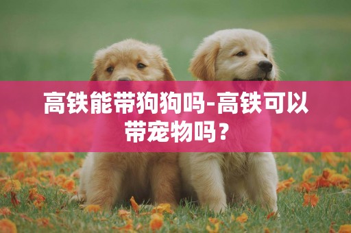 高鐵能帶狗狗嗎-高鐵可以帶寵物嗎？