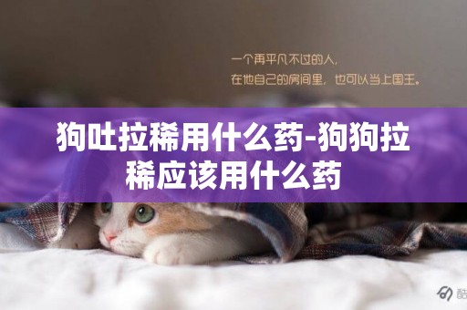 狗吐拉稀用什么藥-狗狗拉稀應該用什么藥