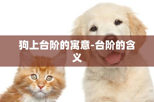 狗上臺階的寓意-臺階的含義