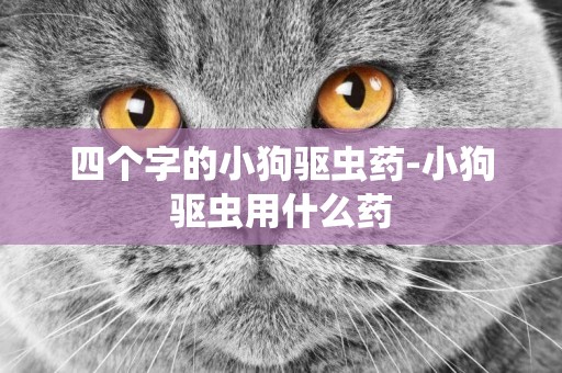 四個字的小狗驅蟲藥-小狗驅蟲用什么藥