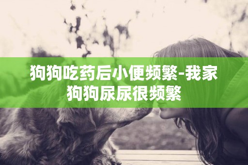 狗狗吃藥后小便頻繁-我家狗狗尿尿很頻繁
