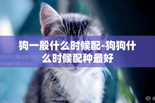 狗一般什么時候配-狗狗什么時候配種最好