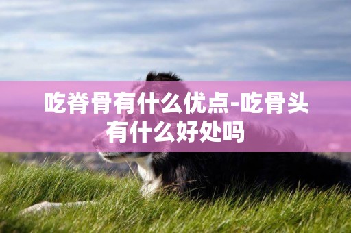 吃脊骨有什么優點-吃骨頭有什么好處嗎