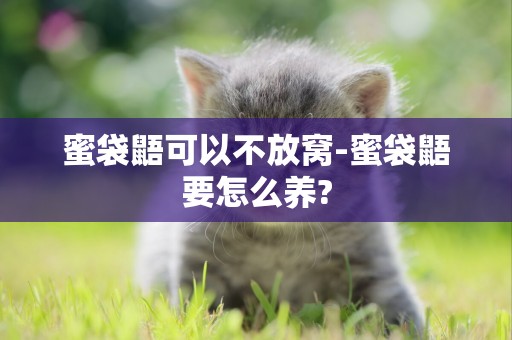 蜜袋鼯可以不放窩-蜜袋鼯要怎么養?