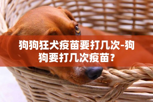 狗狗狂犬疫苗要打幾次-狗狗要打幾次疫苗？