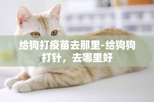 給狗打疫苗去那里-給狗狗打針，去哪里好