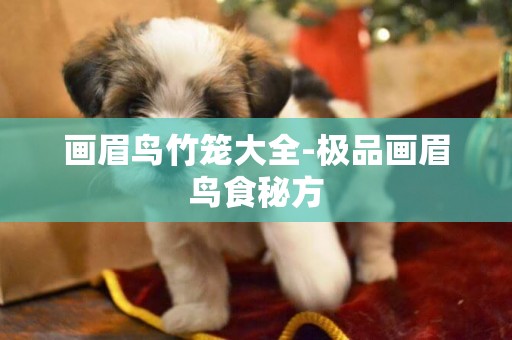 畫眉鳥竹籠大全-極品畫眉鳥食秘方