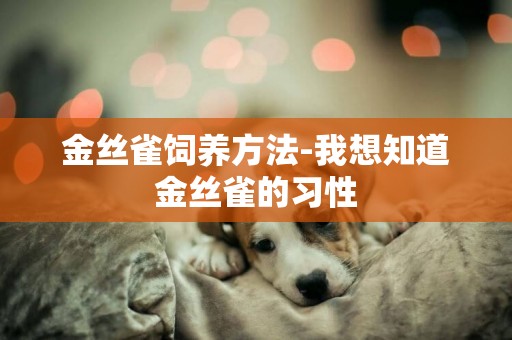 金絲雀飼養方法-我想知道金絲雀的習性