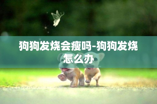 狗狗發燒會瘦嗎-狗狗發燒怎么辦