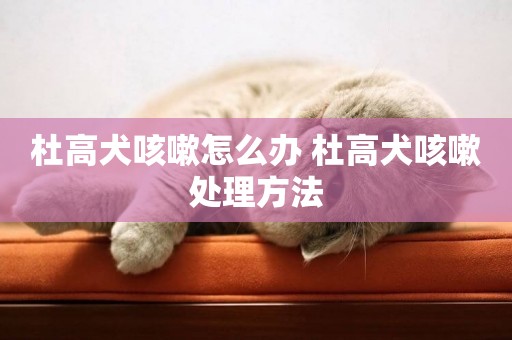 杜高犬咳嗽怎么辦 杜高犬咳嗽處理方法