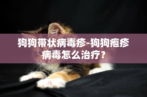 狗狗帶狀病毒疹-狗狗皰疹病毒怎么治療？