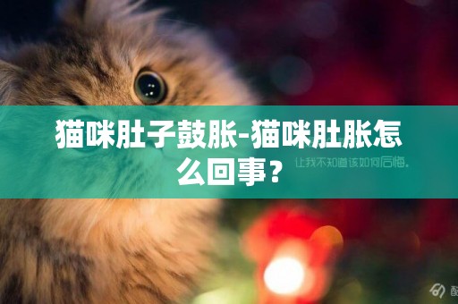 貓咪肚子鼓脹-貓咪肚脹怎么回事？