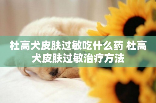 杜高犬皮膚過敏吃什么藥 杜高犬皮膚過敏治療方法