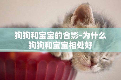 狗狗和寶寶的合影-為什么狗狗和寶寶相處好